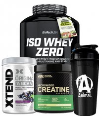 PROMO STACK Biotech USA ISO WHEY ZERO + CREATINE + BCAA + SHAKER